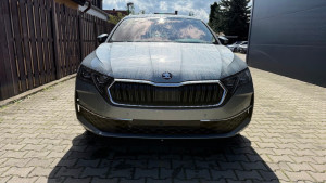 Miniaturka zdjęcia