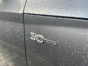 Miniaturka zdjęcia
